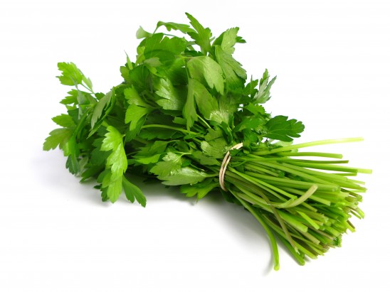 Coriander